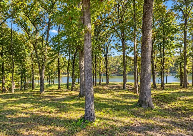 Photo 1 of Land for sale at Lot 55 Private Rd 52415, Leesburg, TX 75451 | MLS# 21400124 | Listing updated on 2026-10-05