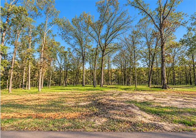 Photo 3 of Land for sale at Lot 55 Private Rd 52415, Leesburg, TX 75451 | MLS# 21400124 | Listing updated on 2026-10-05