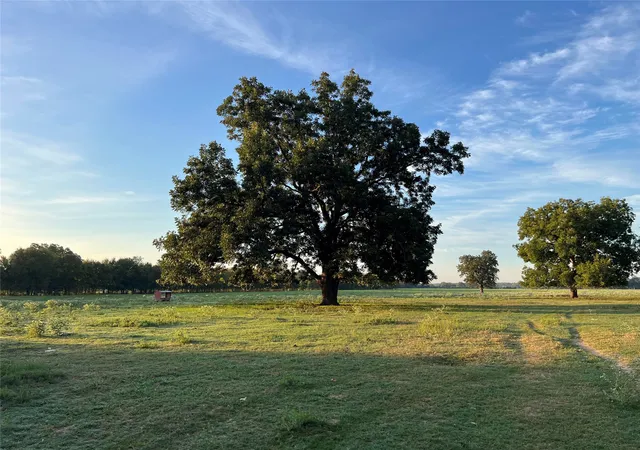 Photo 3 of House for sale at 100331 Acres Lcr 456 & 460, Mexia, TX 76667 | MLS# 21397971 | Listing updated on 2026-10-03