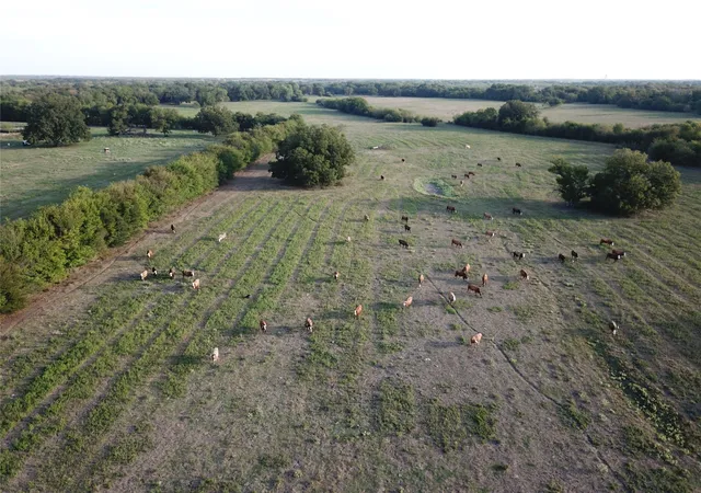 Photo 4 of House for sale at 100331 Acres Lcr 456 & 460, Mexia, TX 76667 | MLS# 21397971 | Listing updated on 2026-10-03