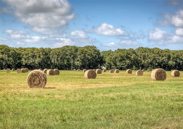 Photo 1 of Land for sale at 3812 County Rd 120, Wills Point, TX 75169 | MLS# 21400272 | Listing updated on 2026-10-01