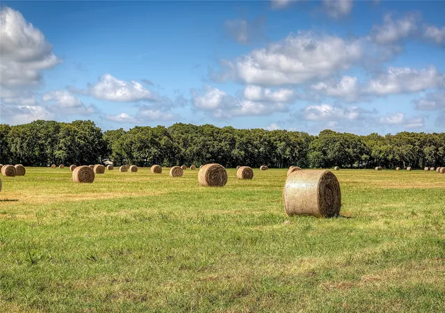 Photo 3 of Land for sale at 3812 County Rd 120, Wills Point, TX 75169 | MLS# 21400272 | Listing updated on 2026-10-01