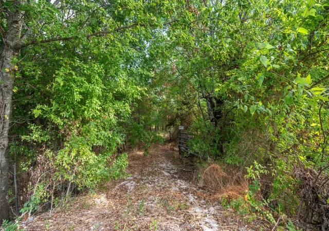 Photo 3 of Land for sale at 31acs Fm 1564, Caddo Mills, TX 75135 | MLS# 21398685 | Listing updated on 2026-10-05