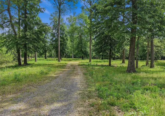 Photo 3 of Land for sale at Tbd N Us 79 Hwy, Carthage, TX 75633 | MLS# 21400627 | Listing updated on 2026-10-01