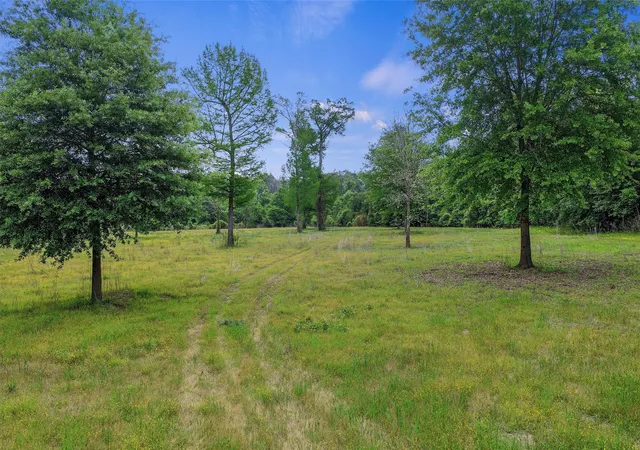 Photo 3 of Land for sale at Tbd N US 79 Hwy, Carthage, TX 75633 | MLS# 21400627 | Listing updated on 2026-10-01