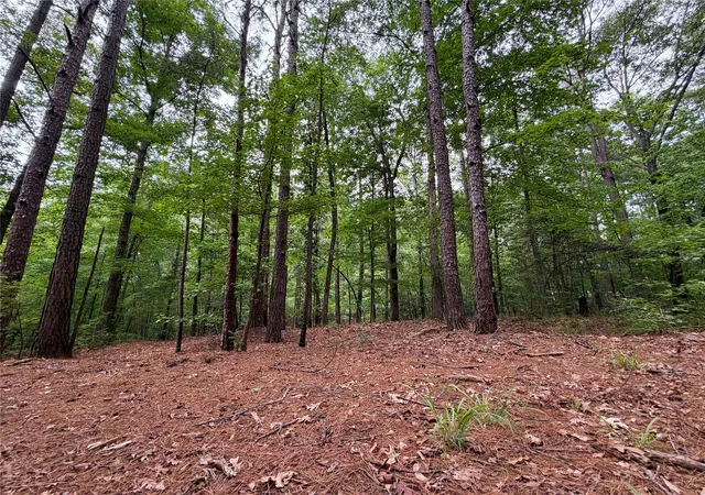 Photo 2 of Land for sale at 0 6th Avenue, Avinger, TX 75630 | MLS# 21400755 | Listing updated on 2026-10-01