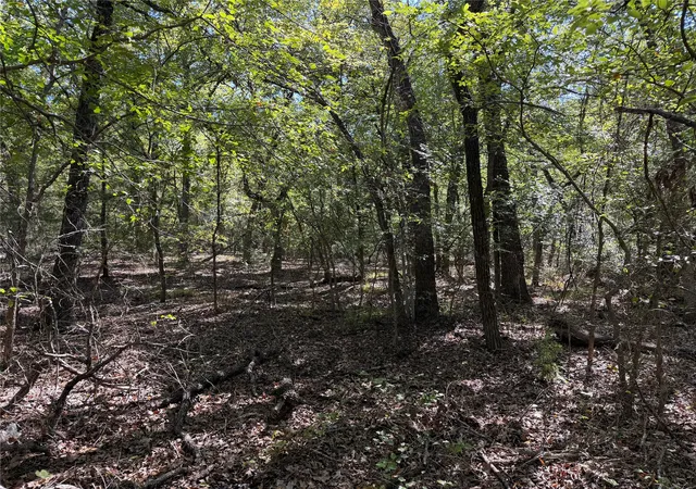 Photo 2 of Land for sale at 0 R And R Cir #Lot 12, Kemp, TX 75143 | MLS# 21401023 | Listing updated on 2026-10-06