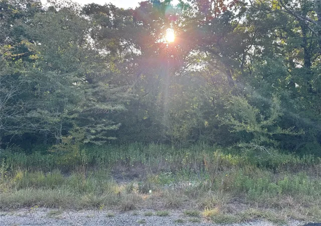 Photo 3 of Land for sale at 0 R And R Cir #Lot 12, Kemp, TX 75143 | MLS# 21401023 | Listing updated on 2026-10-06