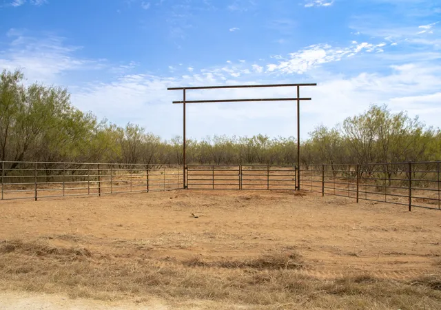 Land for sale at Tbd Tract 4 County Rd 166, Gorman, TX 76454 | MLS# 21398759