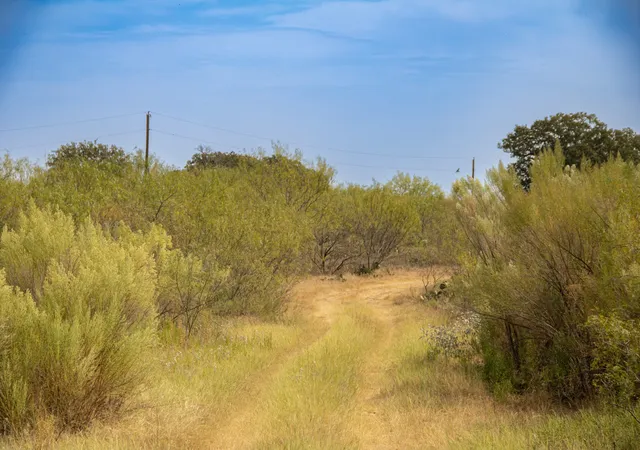 Photo 3 of Land for sale at Tbd Tract 4 County Rd 166, Gorman, TX 76454 | MLS# 21398759 | Listing updated on 2026-10-02