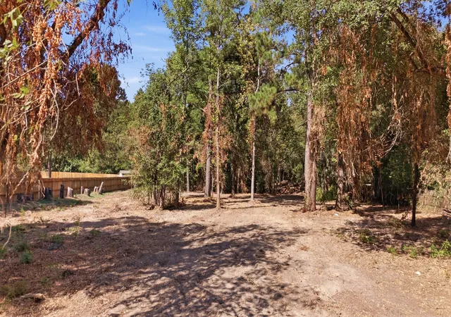 Photo 2 of Land for sale at Tbd Cr 474, Lindale, TX 75771 | MLS# 21396597 | Listing updated on 2026-10-02