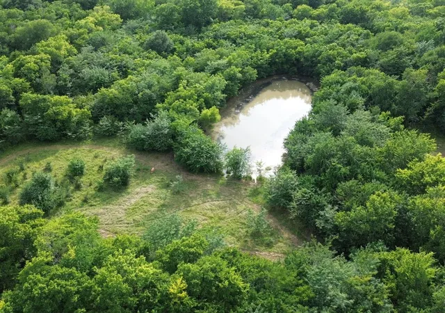 Photo 1 of Land for sale at 4081 Fm 2736 #C, Campbell, TX 75422 | MLS# 21399810 | Listing updated on 2026-10-02