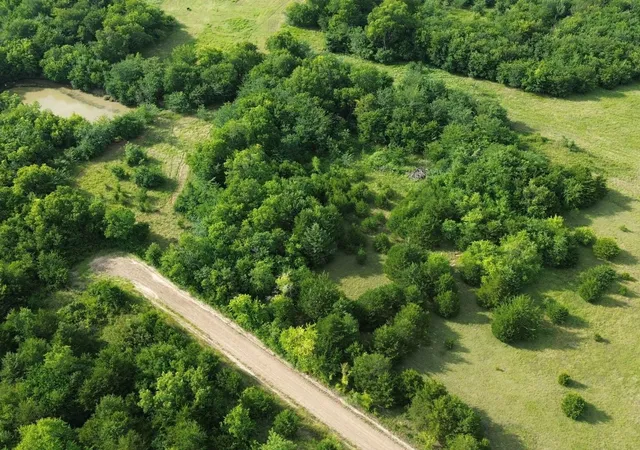 Photo 2 of Land for sale at 4081 Fm 2736 #C, Campbell, TX 75422 | MLS# 21399810 | Listing updated on 2026-10-02