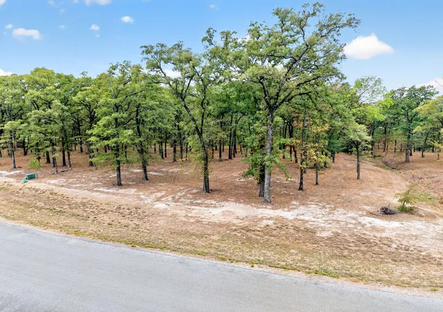 Photo 3 of Land for sale at Tbd Vintage Shore Dr, Quinlan, TX 75474 | MLS# 21399007 | Listing updated on 2026-10-07