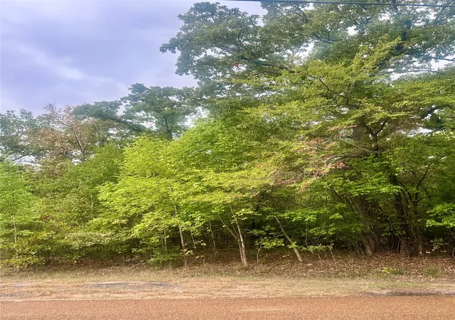 Photo 1 of Land for sale at 0 Alamo Rd, Malakoff, TX 75148 | MLS# 21396920 | Listing updated on 2026-10-06