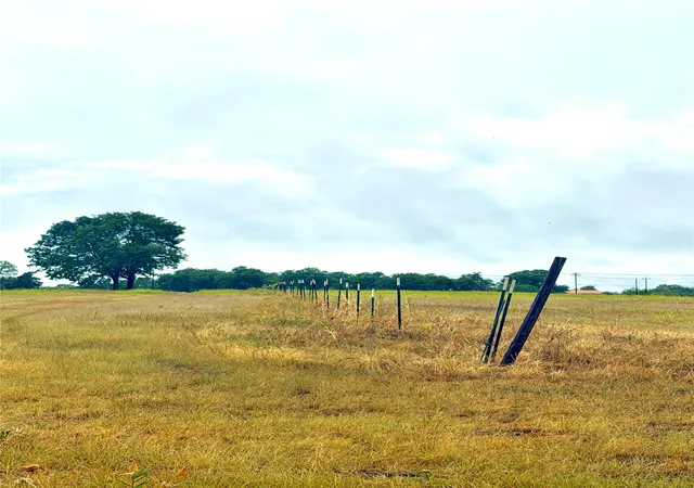 Photo 3 of Land for sale at Tbd Tract D Fm 513 Tx, Point, TX 75453 | MLS# 21399869 | Listing updated on 2026-10-02