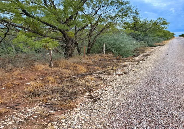 Land for sale at Tbd Cr 107, Trent, TX 79561 | MLS# 21400885