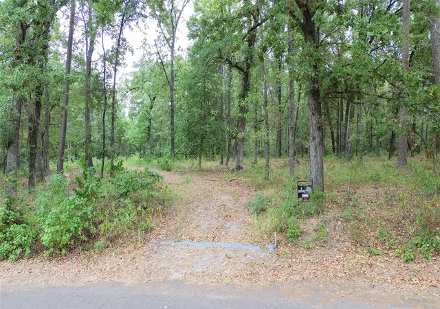 Photo 2 of Land for sale at 1688 County Rd 1597, Avinger, TX 75630 | MLS# 21402116 | Listing updated on 2026-10-03