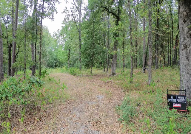 Photo 3 of Land for sale at 1688 County Rd 1597, Avinger, TX 75630 | MLS# 21402116 | Listing updated on 2026-10-03