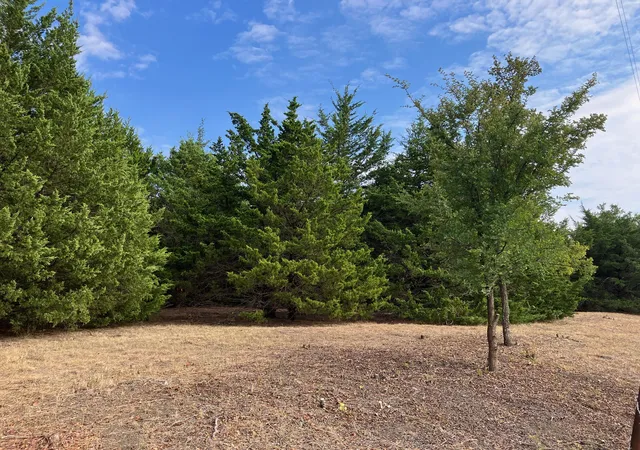 Land for sale at Tbd County Rd 670, Blue Ridge, TX 75424 | MLS# 21402302