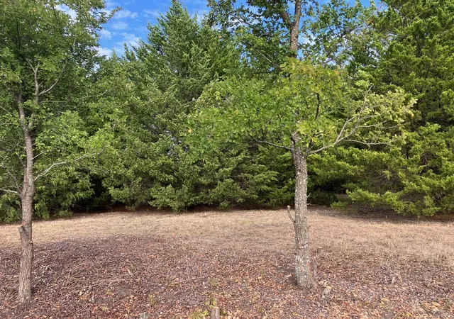 Photo 2 of Land for sale at Tbd County Rd 670, Blue Ridge, TX 75424 | MLS# 21402302 | Listing updated on 2026-10-04
