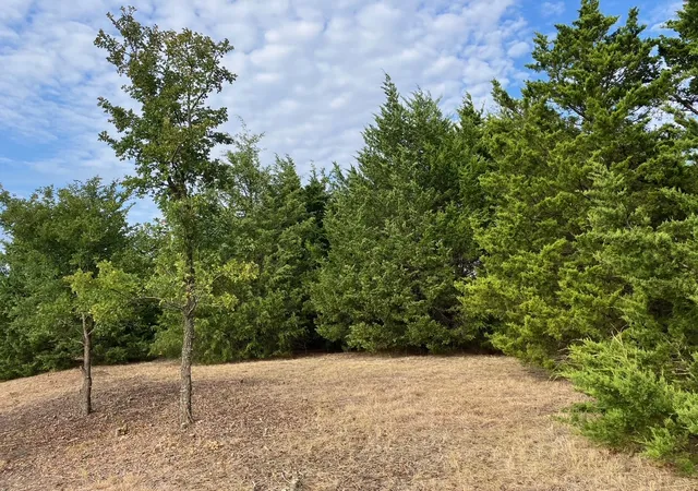 Photo 3 of Land for sale at Tbd County Rd 670, Blue Ridge, TX 75424 | MLS# 21402302 | Listing updated on 2026-10-04