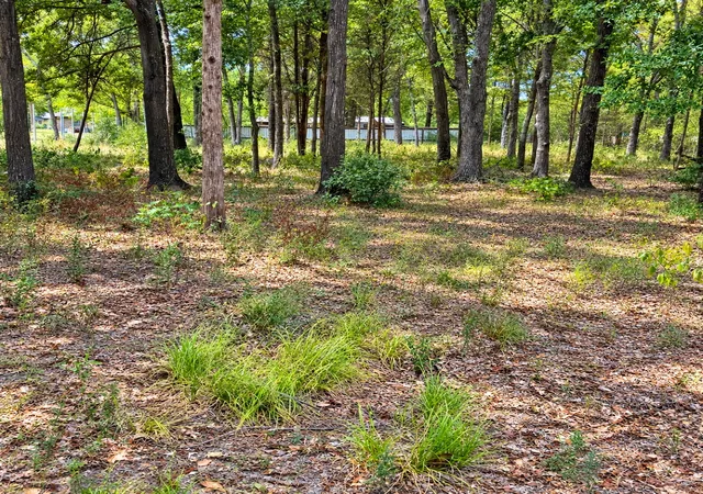 Land for sale at 0000 Tbd W Moss St, Malakoff, TX 75148 | MLS# 21399323