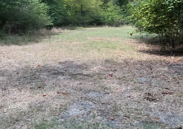 Photo 2 of Land for sale at 0000 Tbd W Moss St, Malakoff, TX 75148 | MLS# 21399323 | Listing updated on 2026-10-03