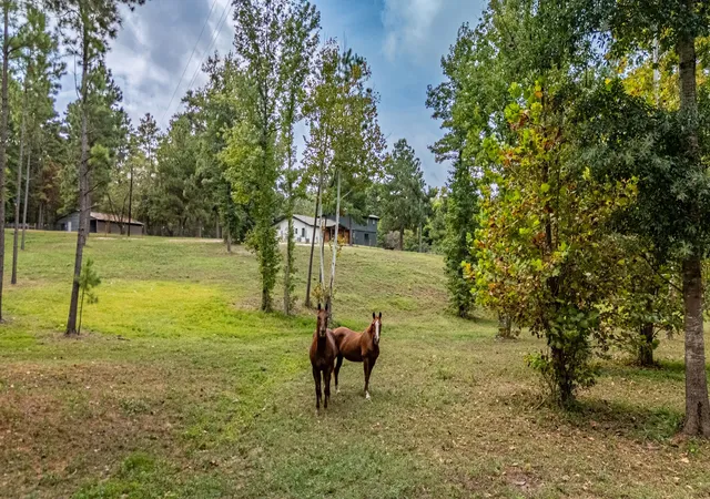 Photo 2 of Single family home for sale at 6411 Fm 23 W, Rusk, TX 75785 | MLS# 21402668 | Listing updated on 2026-10-03