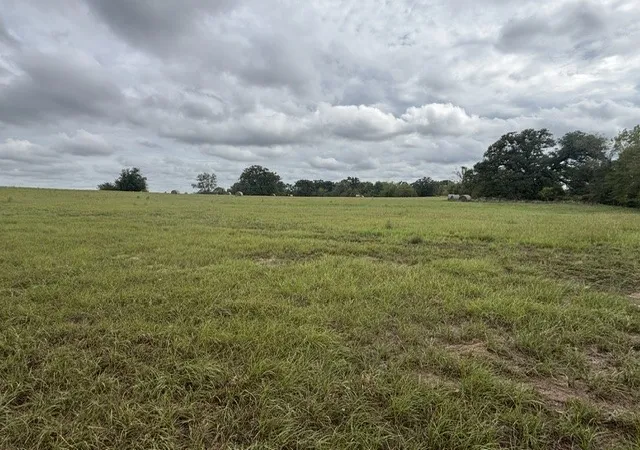 Land for sale at Tbd Fm 2709, Eustace, TX 75124 | MLS# 21402250