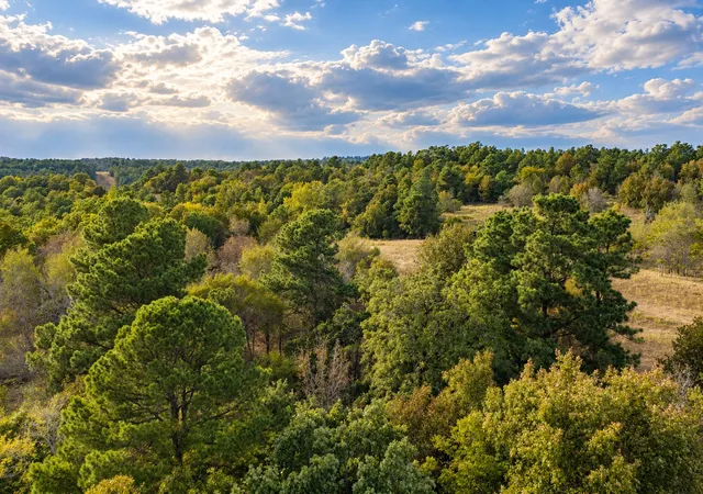 Photo 1 of Land for sale at 00 Off Of County Rd 448, Palestine, TX 75803 | MLS# 21403258 | Listing updated on 2026-10-05