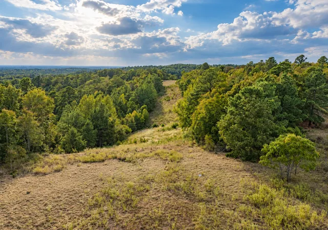 Photo 2 of Land for sale at 00 Off Of County Rd 448, Palestine, TX 75803 | MLS# 21403258 | Listing updated on 2026-10-05
