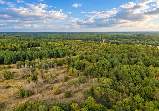 Photo 3 of Land for sale at 00 Off Of County Rd 448, Palestine, TX 75803 | MLS# 21403258 | Listing updated on 2026-10-05