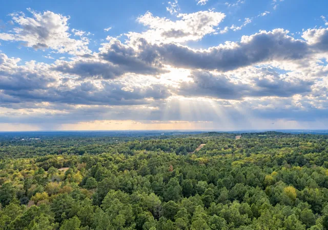 Photo 4 of Land for sale at 00 Off Of County Rd 448, Palestine, TX 75803 | MLS# 21403258 | Listing updated on 2026-10-05