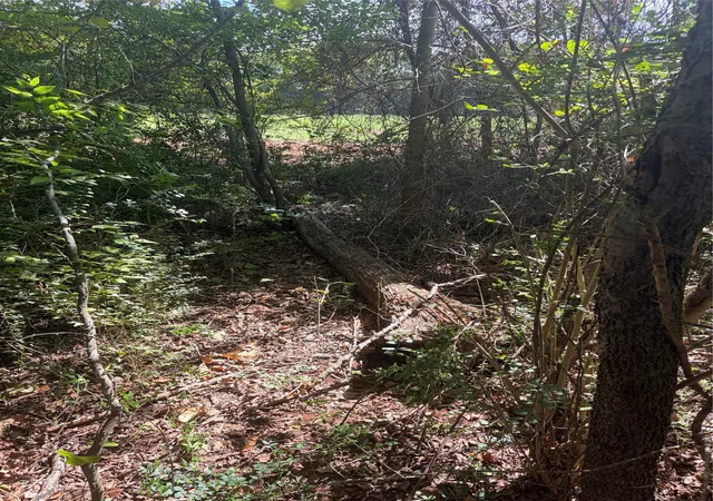 Land for sale at 1012 Brazos, Bullard, TX 75757 | MLS# 21402512