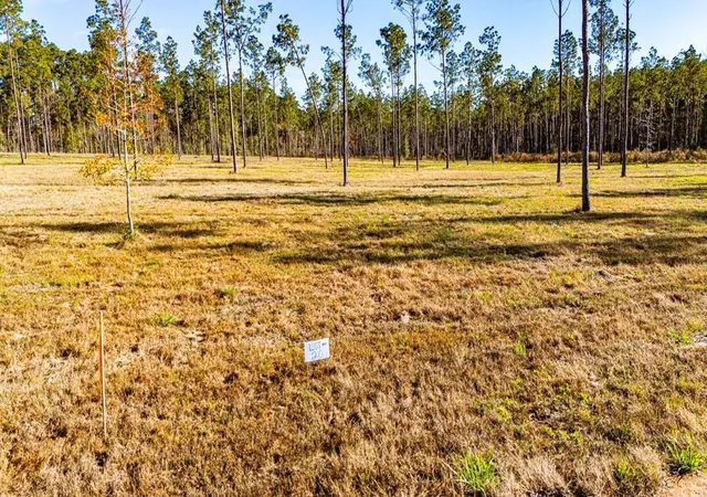 Photo 1 of Land for sale at 20 Big Buck Dr, Moscow, TX 75960 | MLS# 21389064 | Listing updated on 2026-10-06