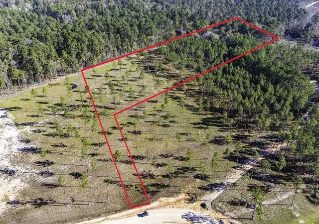 Photo 2 of Land for sale at 20 Big Buck Dr, Moscow, TX 75960 | MLS# 21389064 | Listing updated on 2026-10-06