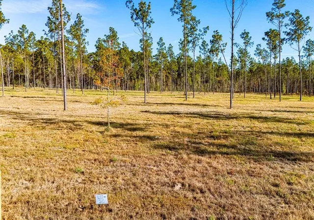 Photo 3 of Land for sale at 20 Big Buck Dr, Moscow, TX 75960 | MLS# 21389064 | Listing updated on 2026-10-06