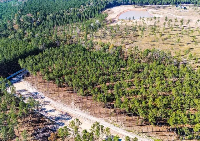 Photo 1 of Land for sale at 12 Big Buck Dr, Moscow, TX 75960 | MLS# 21389057 | Listing updated on 2026-10-06