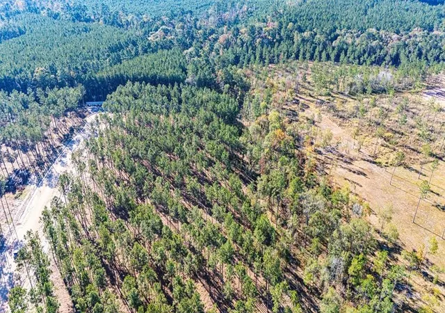 Photo 3 of Land for sale at 12 Big Buck Dr, Moscow, TX 75960 | MLS# 21389057 | Listing updated on 2026-10-06