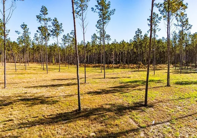 Photo 1 of Land for sale at 19 Big Buck Dr, Moscow, TX 75960 | MLS# 21388999 | Listing updated on 2026-10-06