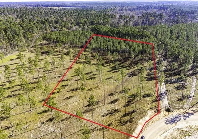 Photo 2 of Land for sale at 19 Big Buck Dr, Moscow, TX 75960 | MLS# 21388999 | Listing updated on 2026-10-06