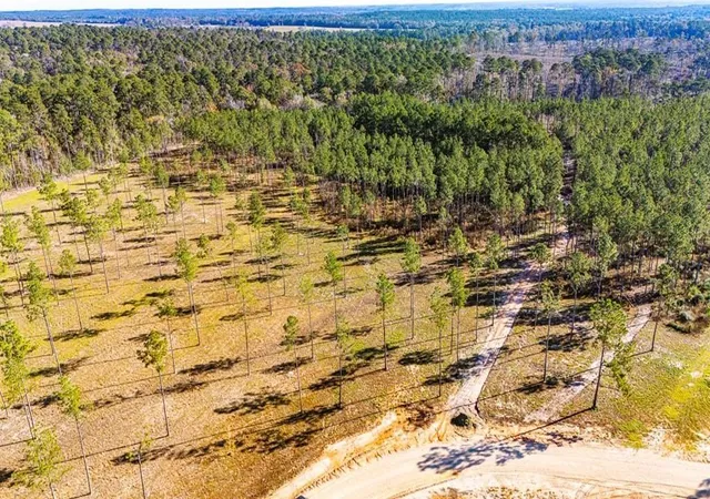 Photo 3 of Land for sale at 19 Big Buck Dr, Moscow, TX 75960 | MLS# 21388999 | Listing updated on 2026-10-06