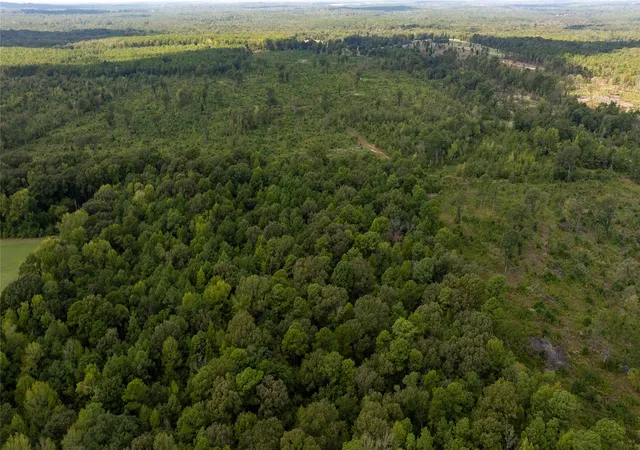 Photo 3 of Land for sale at 0 Blocker Rd, Marshall, TX 75672 | MLS# 21403592 | Listing updated on 2026-10-06