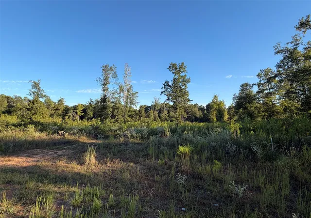 Photo 1 of Land for sale at Lot 2 Bradleigh Blvd, Frierson, LA 71027 | MLS# 21404095 | Listing updated on 2026-10-06