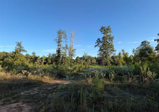 Photo 2 of Land for sale at Lot 2 Bradleigh Blvd, Frierson, LA 71027 | MLS# 21404095 | Listing updated on 2026-10-06