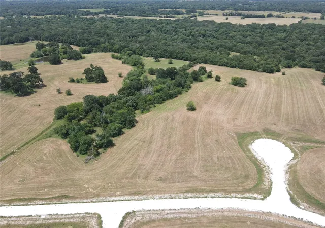 Photo 2 of Land for sale at 1007 Deer Xing Trl, Dike, TX 75437 | MLS# 21404570 | Listing updated on 2026-10-08