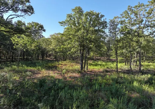 Land for sale at 8602 Cr 2448, Kemp, TX 75143 | MLS# 21404935