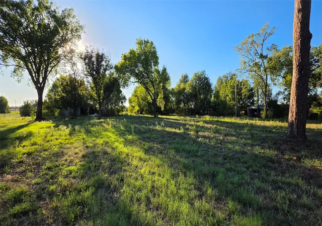 Land for sale at 0 N Waldrip St, Grand Saline, TX 75140 | MLS# 21405168