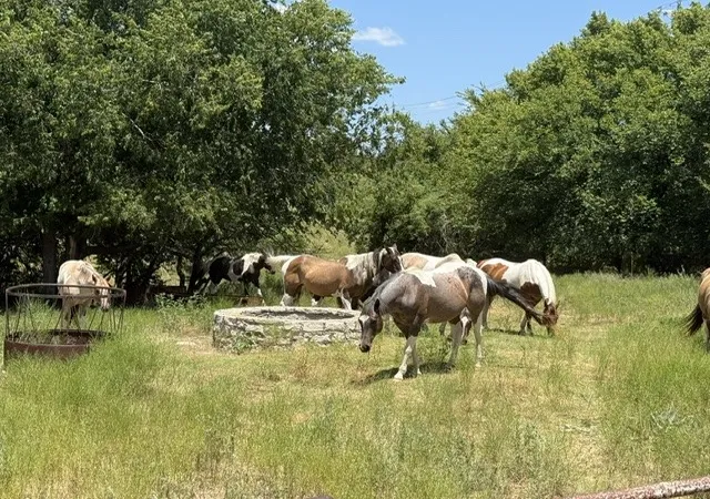 Photo 2 of Land for sale at 0000 County Rd 539, Hico, TX 76457 | MLS# 21404849 | Listing updated on 2026-10-07
